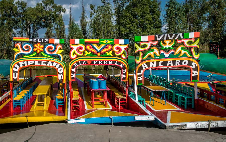 CDMX: Tour of Xochimilco and Coyoacán with option to visit the Frida Kahlo Museum - UNAM at Ciudad Universitaria: murals you can actually see
