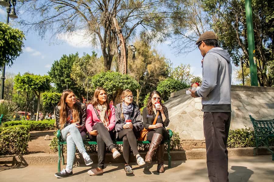 CDMX: Xochimilco, Coyoacan, Frida Kahlo Museum & Murals Tour - Who This Tour Suits Best (and Who Should Rethink It)
