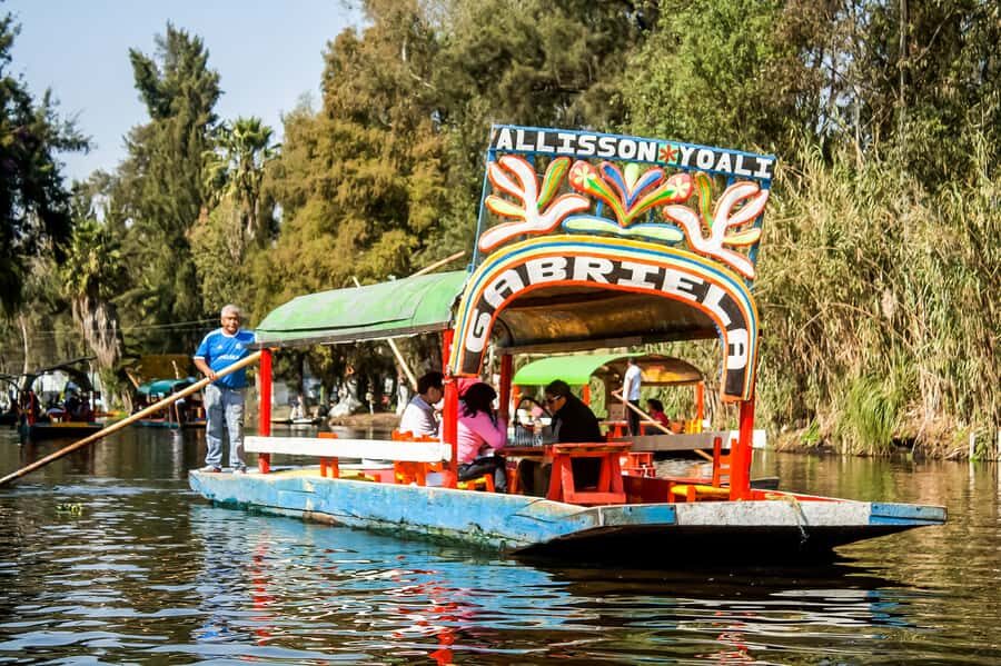 CDMX: Xochimilco, Coyoacan, Frida Kahlo Museum & Murals Tour - Price and Value at $89: What You Actually Get