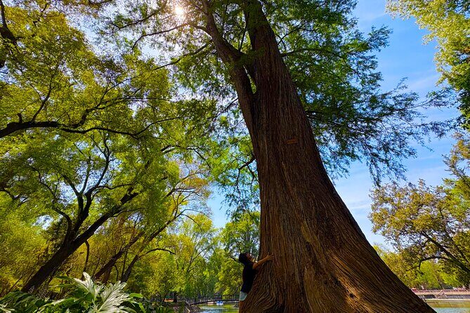 Chapultepec Castle & forest: History, Nature, and Hidden Secrets - FAQ