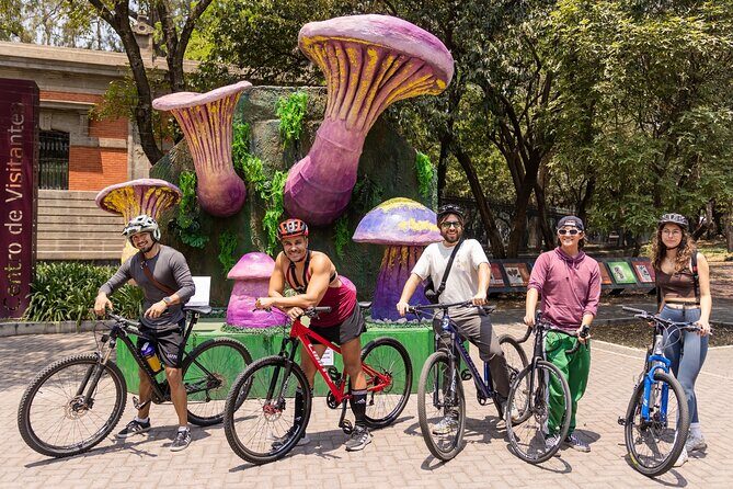 Chapultepec Castle or Anthropology Museum bike tour - Getting From Roma to Chapultepec: Pickup, Gear, and Pace