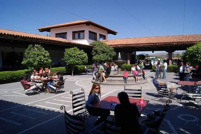 Cheese and Wine Route with 2 Towns, starting from Querétaro - Stop 3: Vina Tx Vineyard Pairing of Aged Cheeses and Wine Tastings (2 Hours)