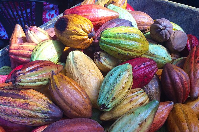 Chocolate and Cobblestones Tour with Taste of San Miguel - Key things you’ll like most