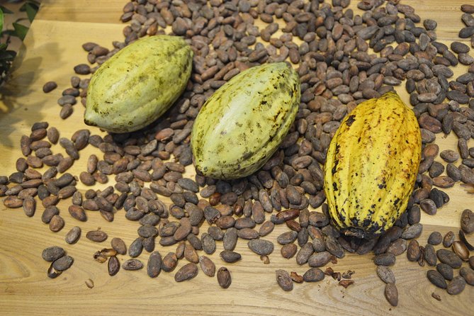 Chocolate and Cobblestones Tour with Taste of San Miguel - Starting at Chocolates JOHFREJ at 12:30: practical expectations