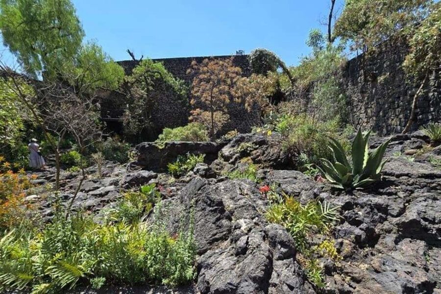 CMDX: Luis Barragan Legacy Exclusive Tour at Casa Pedregal - Hop-on hop-off stop: use it as your pacing control