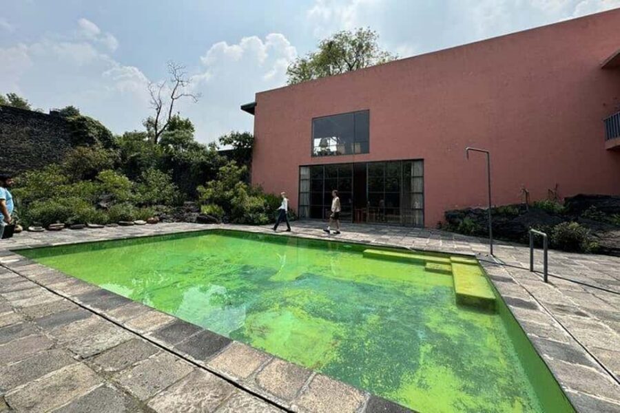 CMDX: Luis Barragan Legacy Exclusive Tour at Casa Pedregal - Practical logistics that matter for comfort