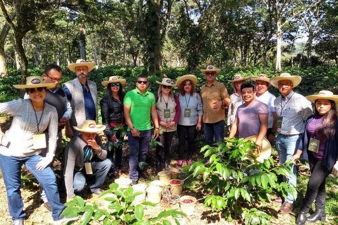 Coffee Museum and Coffee Tour el Cafe-tal apan - Coffee tasting: three coffees plus a real reason to pay attention