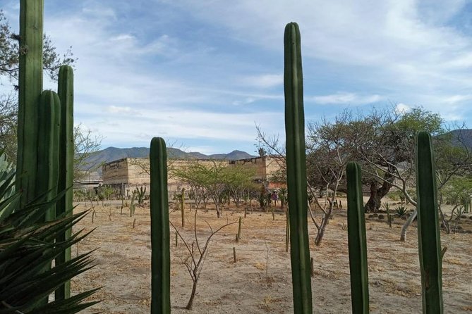 Combo two-day tours, Hierve el Agua Full day and Monte Alban full day - Guides and driving: why the small details matter