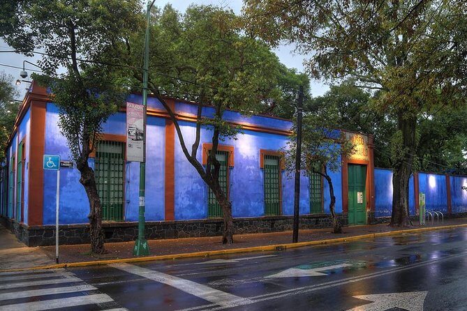 Coyoacán and Xochimilco including Frida Kahlo Museum - Xochimilco’s UNESCO chinampas by trajinera: calm gardens or busy party?