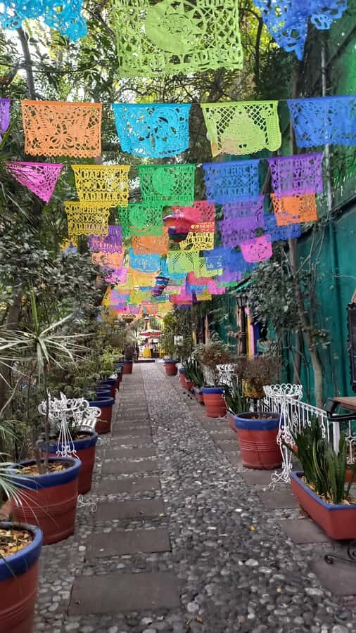 Coyoacan, history and life in a magical neighborhood - A 2.5-hour Coyoacán walk: what the $19 gets you