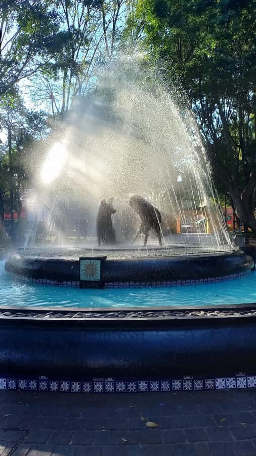 Coyoacan, history and life in a magical neighborhood - Coyoacán Market finish: street-level life and local rhythm