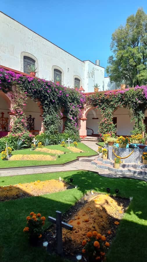 Coyoacan, history and life in a magical neighborhood - Santa Catarina Park and the hidden south alleys: the quiet side first