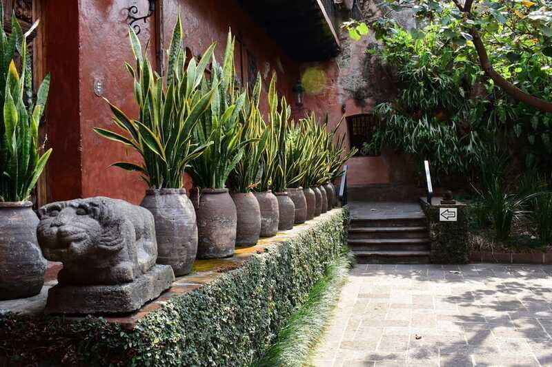 Cuernavaca: Museo Robert Brady Entrance Tickets - Parking and getting there: plan for the walk