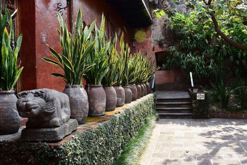 Cuernavaca: Museo Robert Brady Entrance Tickets - Where to go in Cuernavaca: behind the cathedral, inside Casa de la Torre