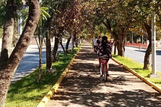 Cycle to the millenary tree "El Tule" - The bike ride itself: pace, breaks, and road reality