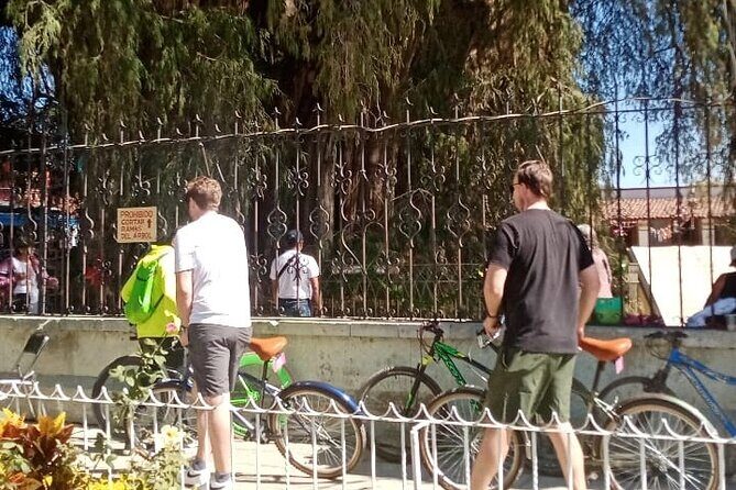 Cycle to the millenary tree "El Tule" - Value check: is $47.82 a good deal?