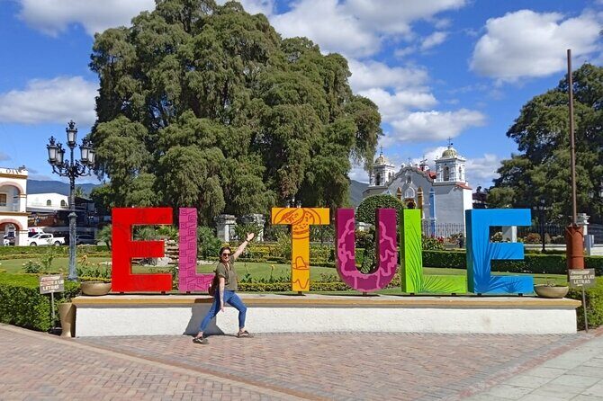 Cycle to the millenary tree "El Tule" - The Tule Tree stop: what 15 minutes is really for
