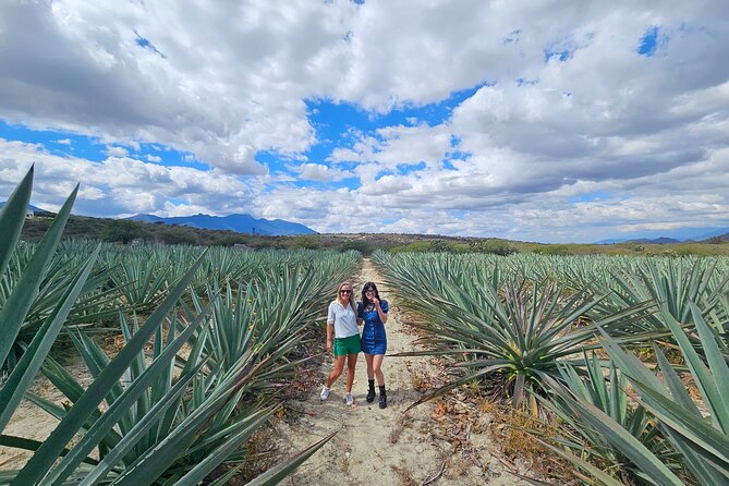 Danzantes Premium Mezcal, Hierve el Agua, Textiles & Lunch - Key highlights you’ll feel during the day