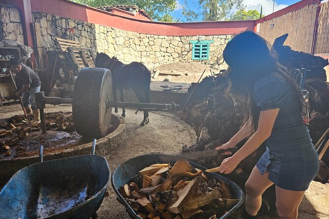 Danzantes Premium Mezcal, Hierve el Agua, Textiles & Lunch - Stop 2: Hierve el Agua, mineral pools and that frozen waterfall illusion