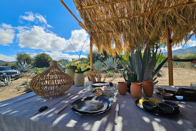 Danzantes Premium Mezcal, Hierve el Agua, Textiles & Lunch - Stop 4: Lunch in the maguey fields at La Palapa Santiago Matatlan