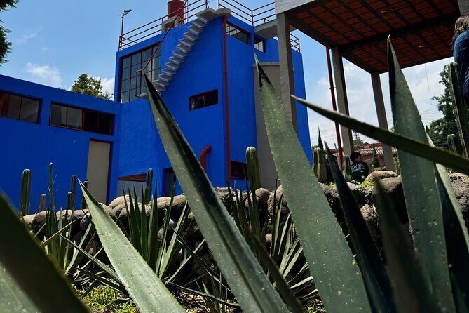Diego Rivera Frida Kahlo Studio House Tour - Why this 90-minute studio-house visit is such good value