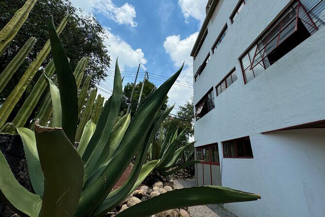 Diego Rivera Frida Kahlo Studio House Tour - Group size, timing, and what to expect on arrival