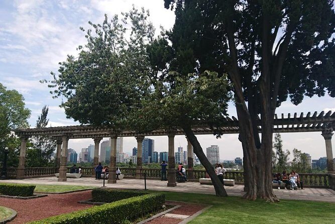 Discover Mexico City by Bike: Chapultepec to Downtown Tour! - The Centro Histórico Run: Palace of Fine Arts to the Templo Mayor Area