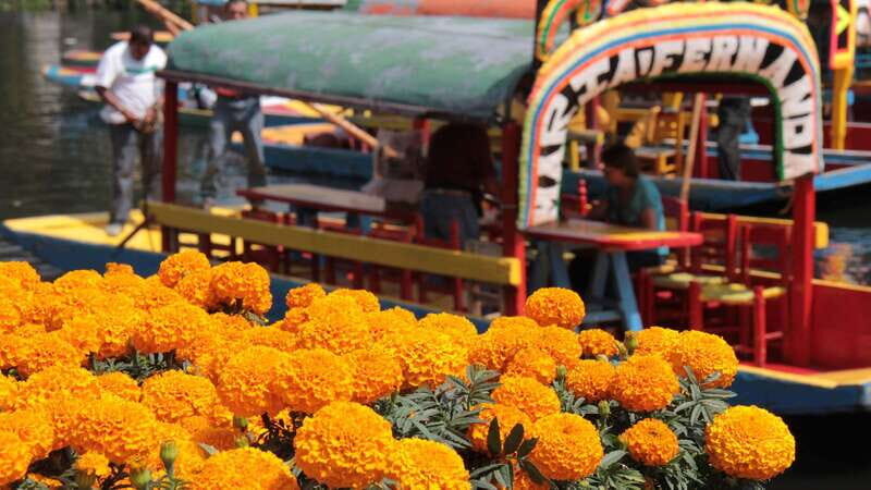 Discover Xochimilco and Coyoacán: Tradition, Music, Culture - Coyoacán Walking Tour: Cobblestones, Churches, and Art-Driven Energy