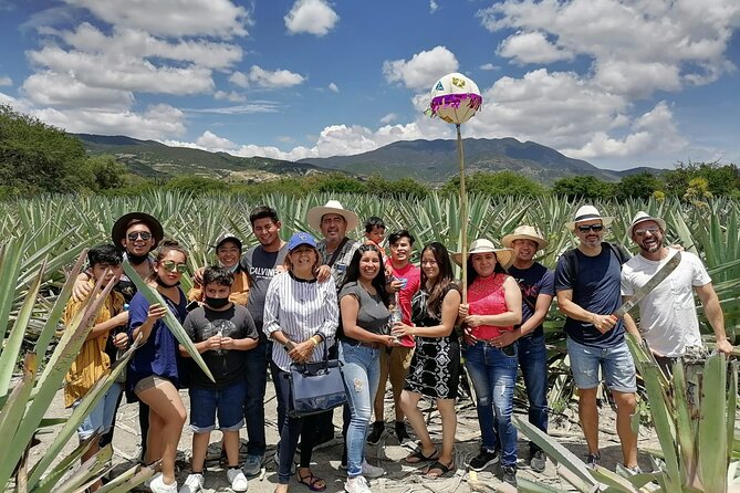 Distillery Tour and Agave Fields by Mal de Amor Mezcal - A 9:00 am Oaxaca City start at Mal de Amor Mezcal y Cocktail Room