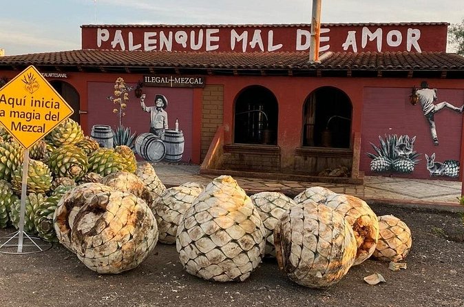 Distillery Tour and Agave Fields by Mal de Amor Mezcal - Who this Oaxaca mezcal tour fits best