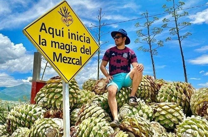 Distillery Tour and Agave Fields by Mal de Amor Mezcal - Should you book Mal de Amor Mezcal and Agave Fields?