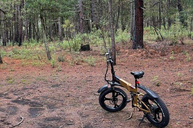 Electric Bicycle Activity in Izta Popo Park - The Terrain: Forest Descent, Possible Cobblestones, and Ashy Footing