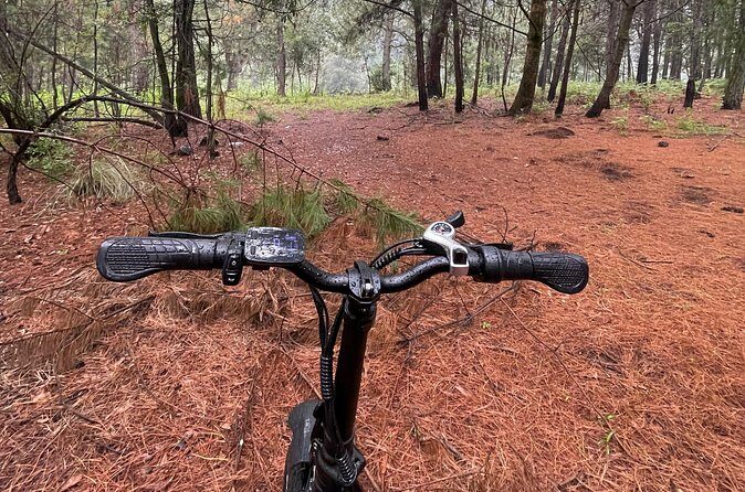 Electric Bicycle Activity in Izta Popo Park - Stops and Views: Getting Volcano Scenery Without Total Burnout