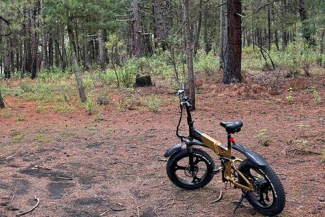 Electric Bicycle Activity in Izta Popo Park - Instructor Guidance and the Pace of an Electric Assist