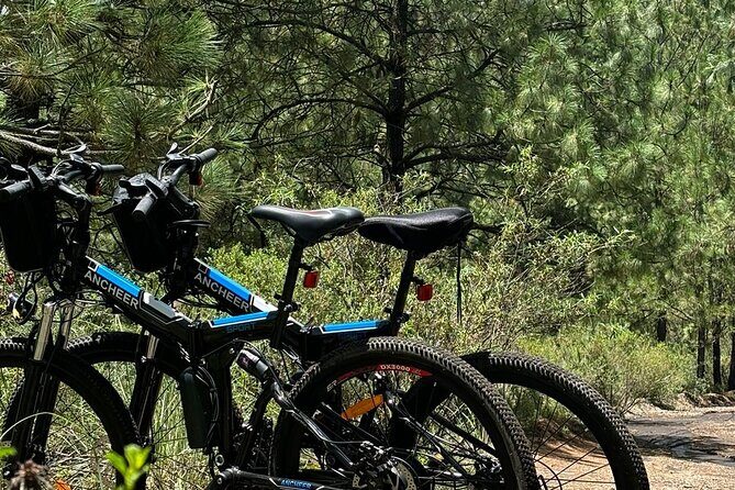 Electric Bicycle Activity in Izta Popo Park - Price and Value: Is $85 Worth It?