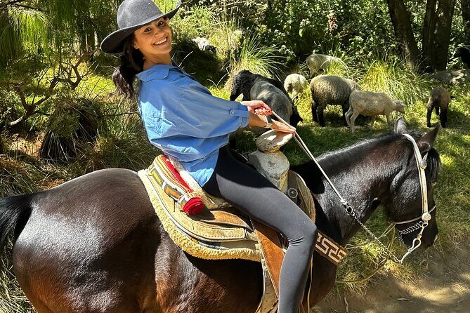Exclusive Horseback Ride w/ Mexican Charros Family in México City - What you’ll see on the trail: streams, river crossings, and pine-shadow views