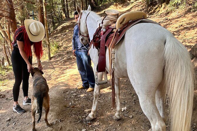Exclusive Horseback Ride w/ Mexican Charros Family in México City - The lunch stop: tacos after the saddle, with a real family vibe