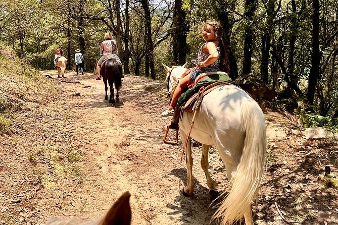 Exclusive Horseback Ride w/ Mexican Charros Family in México City - Value check: what you’re really buying (and what you’ll still need to cover)
