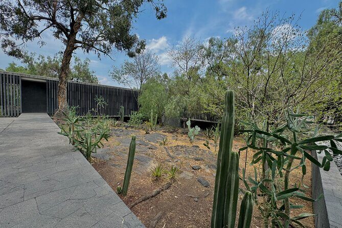 EXCLUSIVE TOUR at Diego Rivera Anahuacalli Museum - Small Groups - Pace, questions, and the small-group advantage