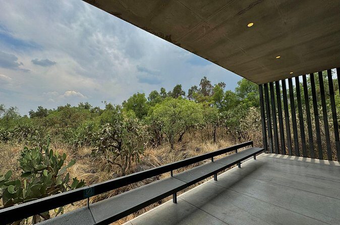 EXCLUSIVE TOUR at Diego Rivera Anahuacalli Museum - Small Groups - Who should book this tour?