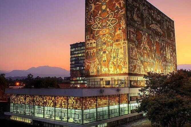 EXCLUSIVE TOUR: Murals+Ciudad Universitaria Stadium-small groups - The library moment: why it lingers