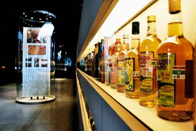 EXCLUSIVE TOUR Tequila & Mezcal - small groups - Key highlights you should know before you go