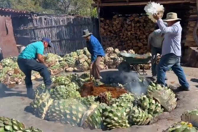 Experience the Mezcal Tour in Oaxaca - Why a four-hour mezcal tour is the smart play in Oaxaca