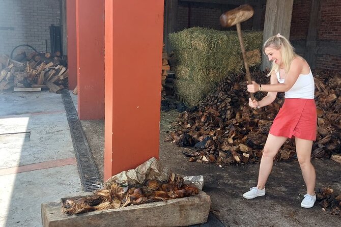 Experience the Mezcal Tour in Oaxaca - Price and value: is $107.53 a good deal?