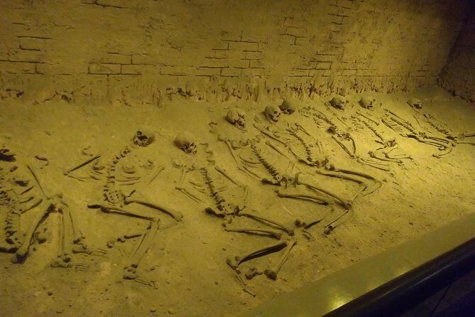 Explore Anthropology Museum in Mexico City - The Guide Experience: Carlos’s Punctuality and Big Knowledge