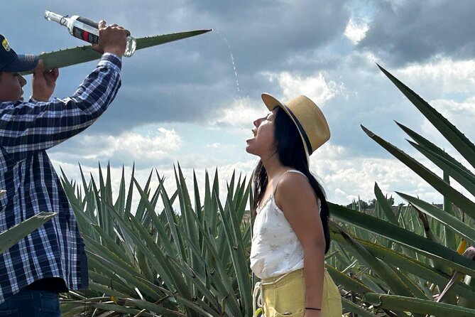 Explore Hierve el Agua, Mitla, Tule, Textile and Mezcal for a day - El Rey de Matatlán mezcal: production steps and tasting in plain terms