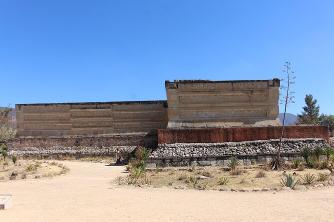 Explore Hierve el Agua, Mitla, Tule, Textile and Mezcal for a day - Santa María del Tule: the world’s widest trunk, quick and meaningful