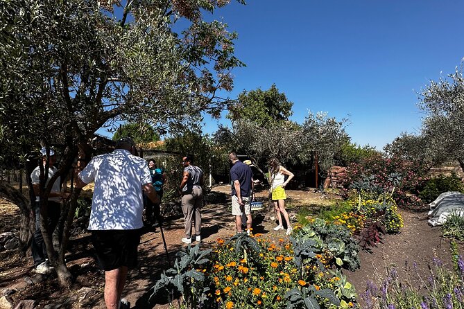 Farm to Table Cooking Experience in San Miguel - Key Highlights You’ll Actually Feel