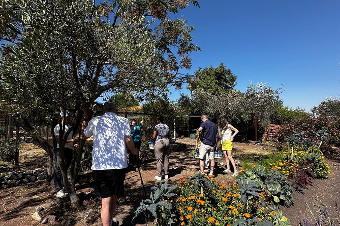 Farm to Table Cooking Experience in San Miguel - How the 9:00am Start Turns Into a Full Garden-Table Day