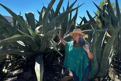 Farm to Table Cooking Experience in San Miguel - From Ingredients to Technique: What You Learn in the Kitchen